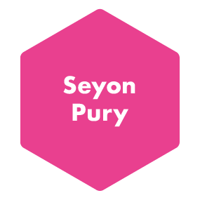 quartier Seyon-Pury
